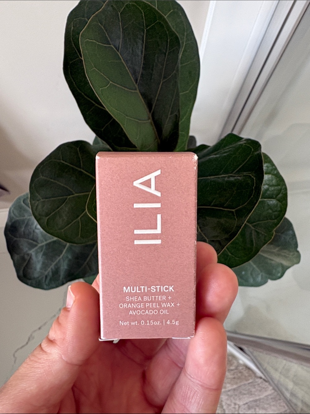 ILIA Multi-Stick - In the Mood
